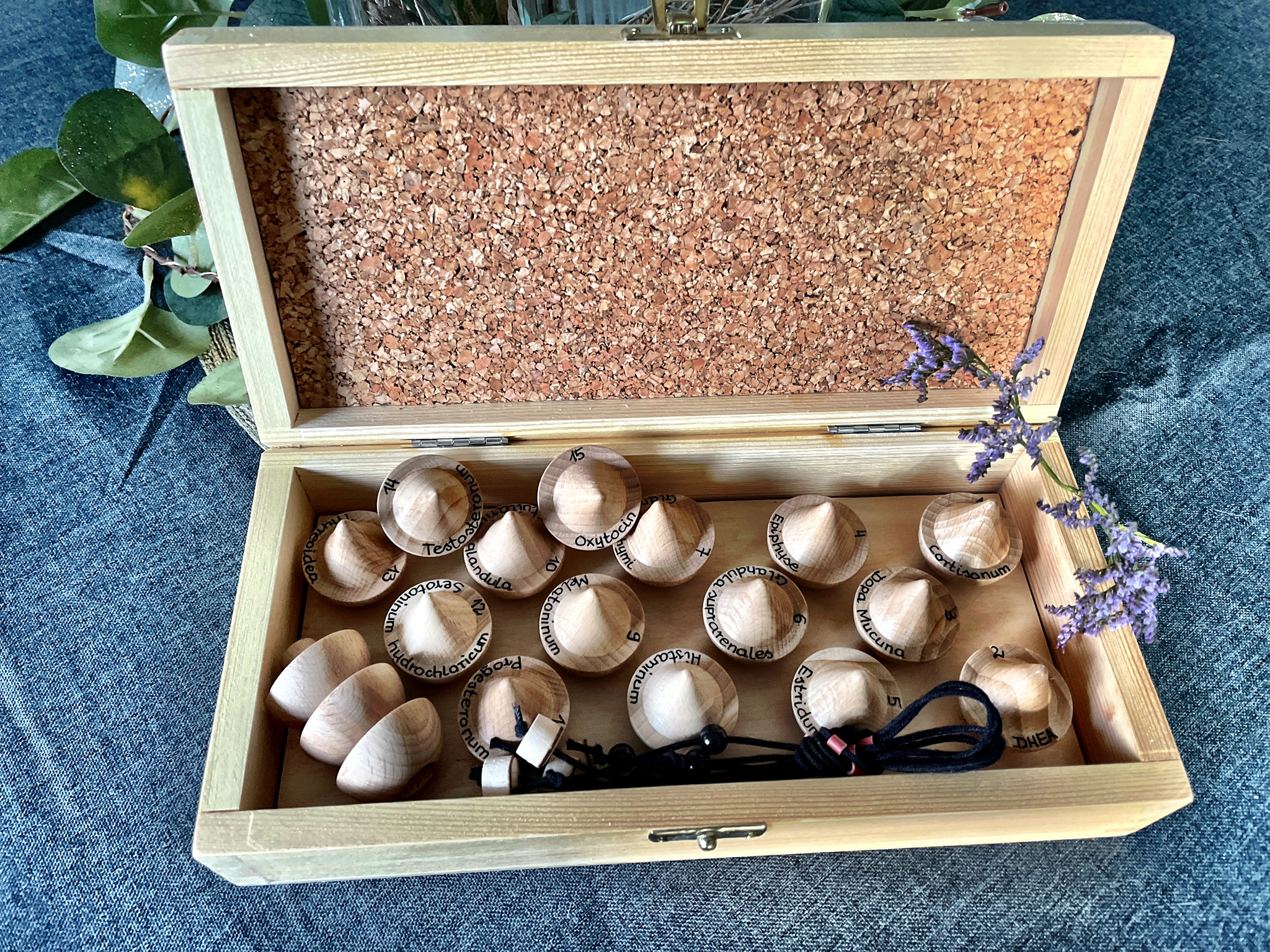 Ayurveda Heilkräuter nach Brigitta Schmidt (Pendelset)
